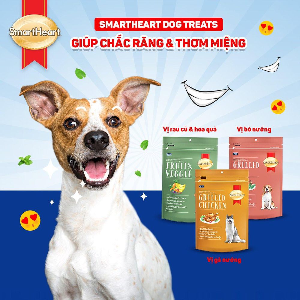 Snack SmartHeart Cho Chó Mọi Lứa Tuổi (100g) - Paddy Pet Shop