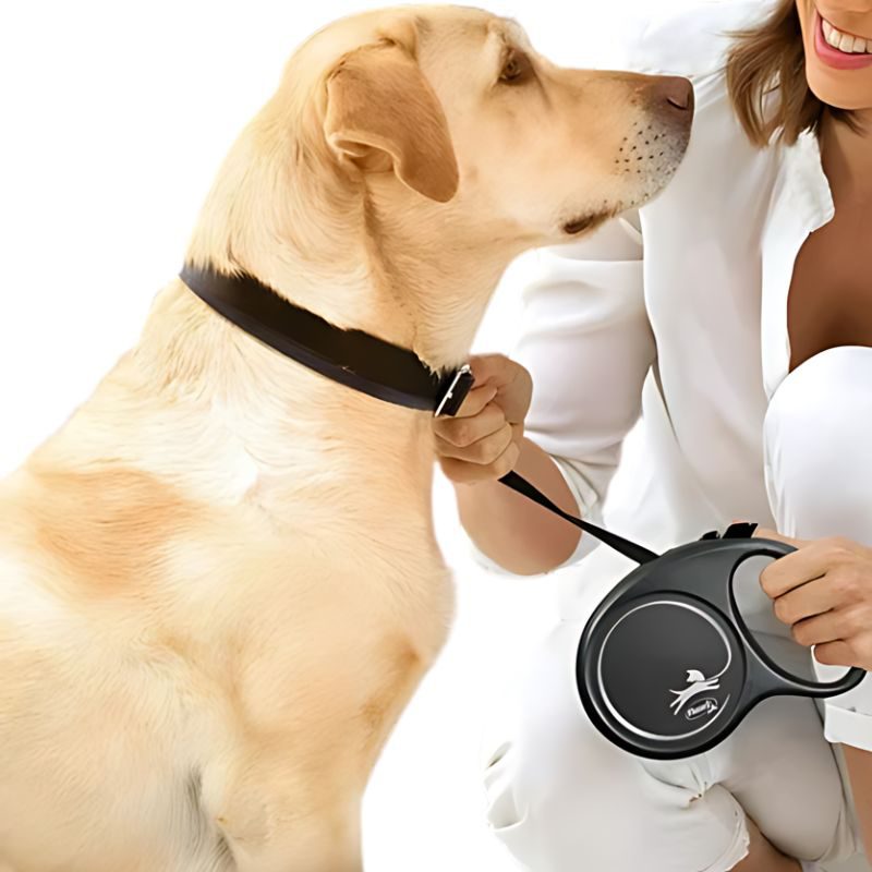 Dây Dắt Bấm Tự Động Cho Chó Flexi Classic