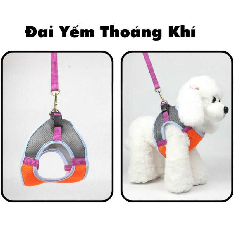 Dây Dắt Yếm Thoáng Khí Diamond Cho Chó Mèo