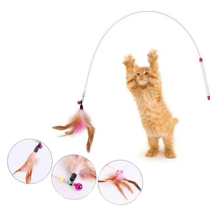 Đồ Chơi Cần Câu Mèo Dây Thép Hồng