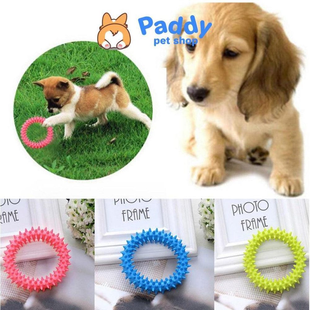 Đồ Chơi Cho Chó Nhai Gặm Cao Su Nhiều Mẫu - Paddy Pet Shop