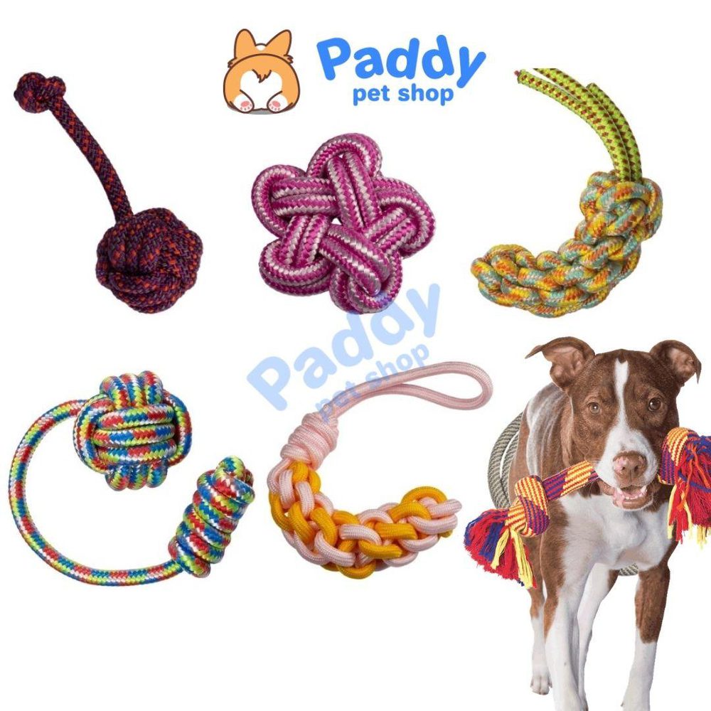 Đồ Chơi Cho Chó Thừng Bện Sắc Màu TPet - Paddy Pet Shop