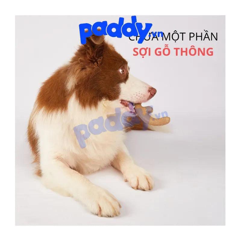 Đồ Chơi Gặm Làm Sạch Răng Cho Chó FOFOS Stix Wooden - Paddy Pet Shop