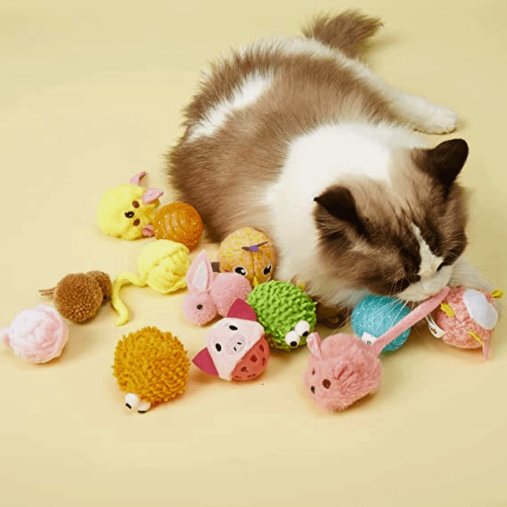 Đồ Chơi Cho Mèo Banh Catnip FOFOS - Paddy Pet Shop