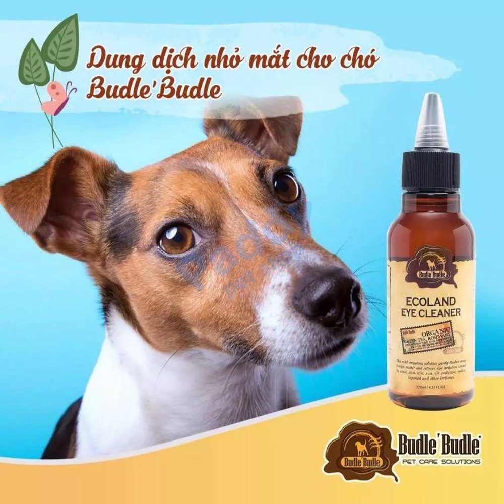 Dung Dịch Nhỏ Mắt Cho Chó Budle Eye Cleaner 120ml - Paddy Pet Shop