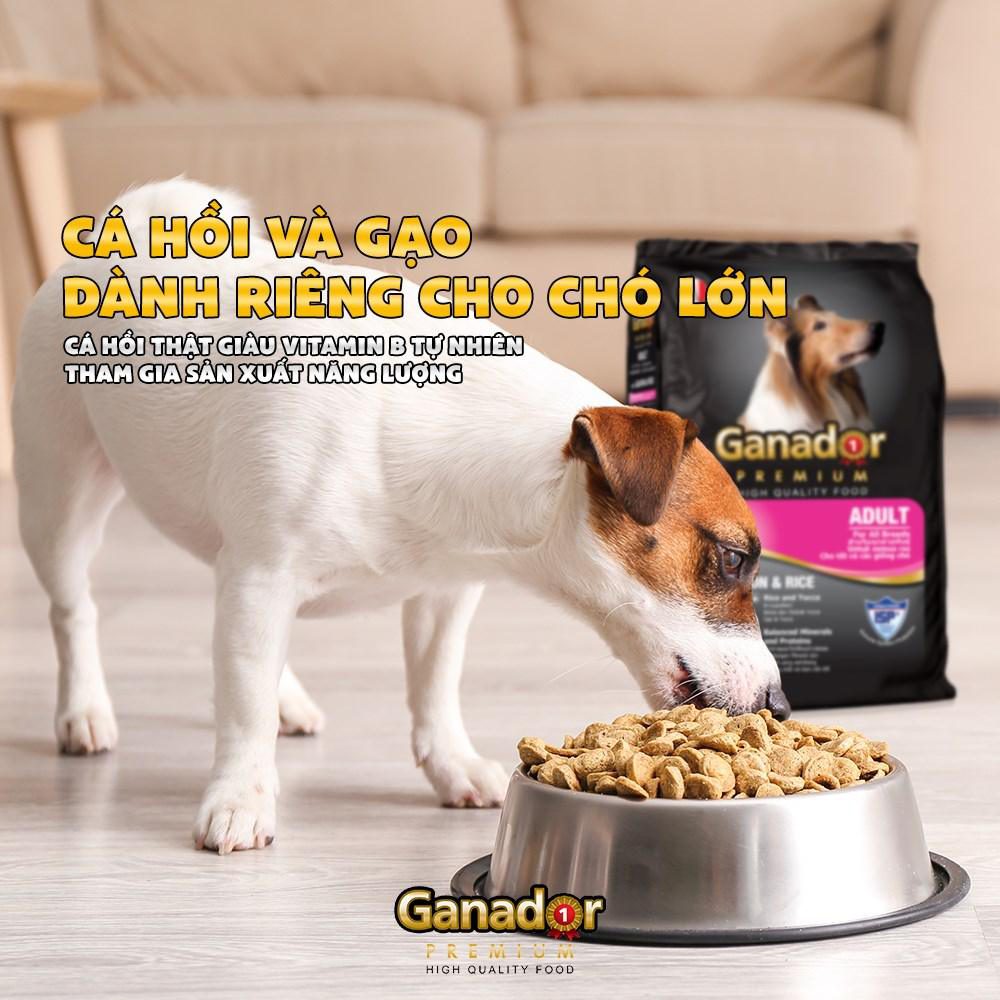 Hạt Ganador Adult Cho Chó Trưởng Thành Vị Cá Hồi & Gạo - Paddy Pet Shop