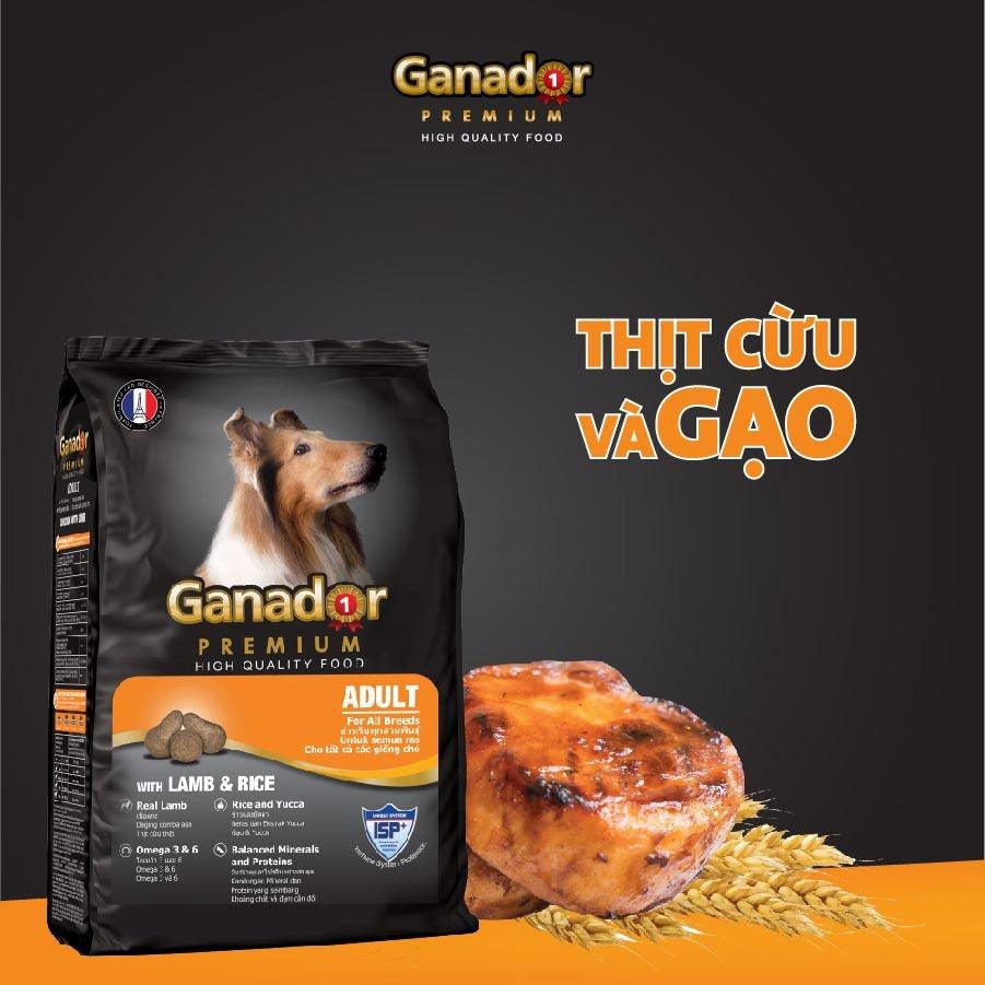 Hạt Ganador Adult Cho Chó Trưởng Thành Vị Cừu & Gạo - Paddy Pet Shop