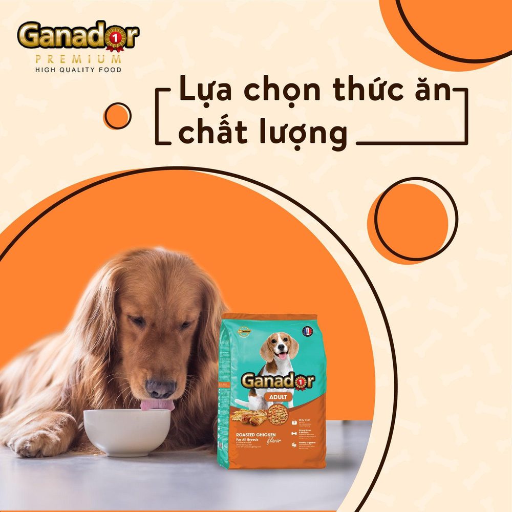 Hạt Ganador Adult Cho Chó Trưởng Thành Vị Gà Quay - Paddy Pet Shop