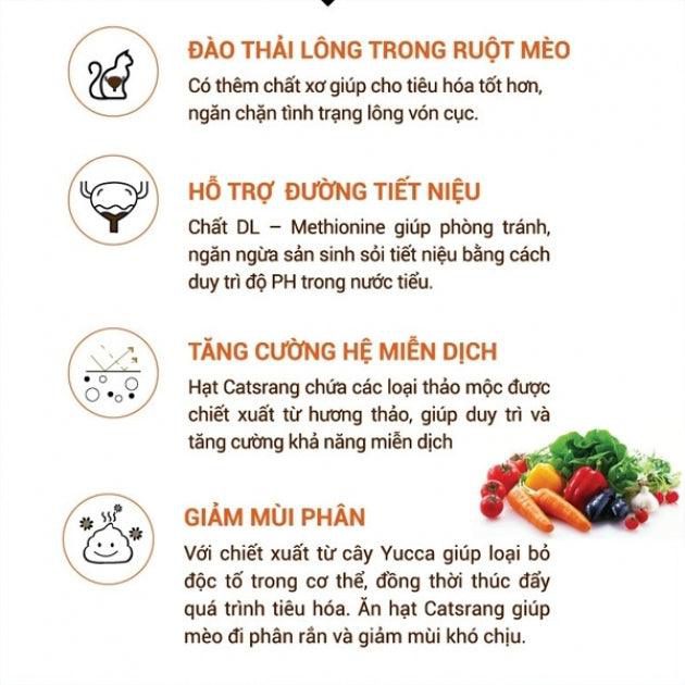 Hạt Cho Mèo Mọi Lứa Tuổi Catsrang - Paddy Pet Shop