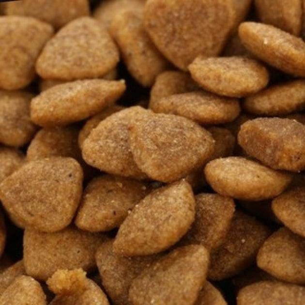 Hạt Cho Mèo Mọi Lứa Tuổi Catsrang - Paddy Pet Shop