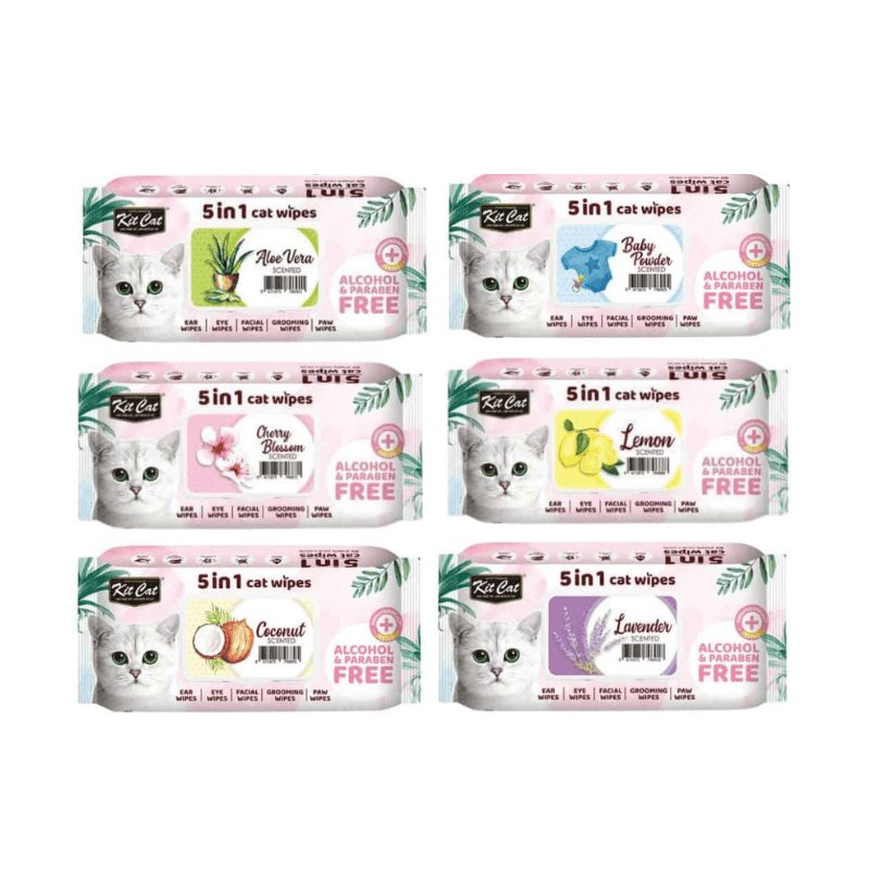 Khăn Giấy Ướt Kháng Khuẩn, Tắm Khô Cho Mèo Kit Cat (80 Miếng)