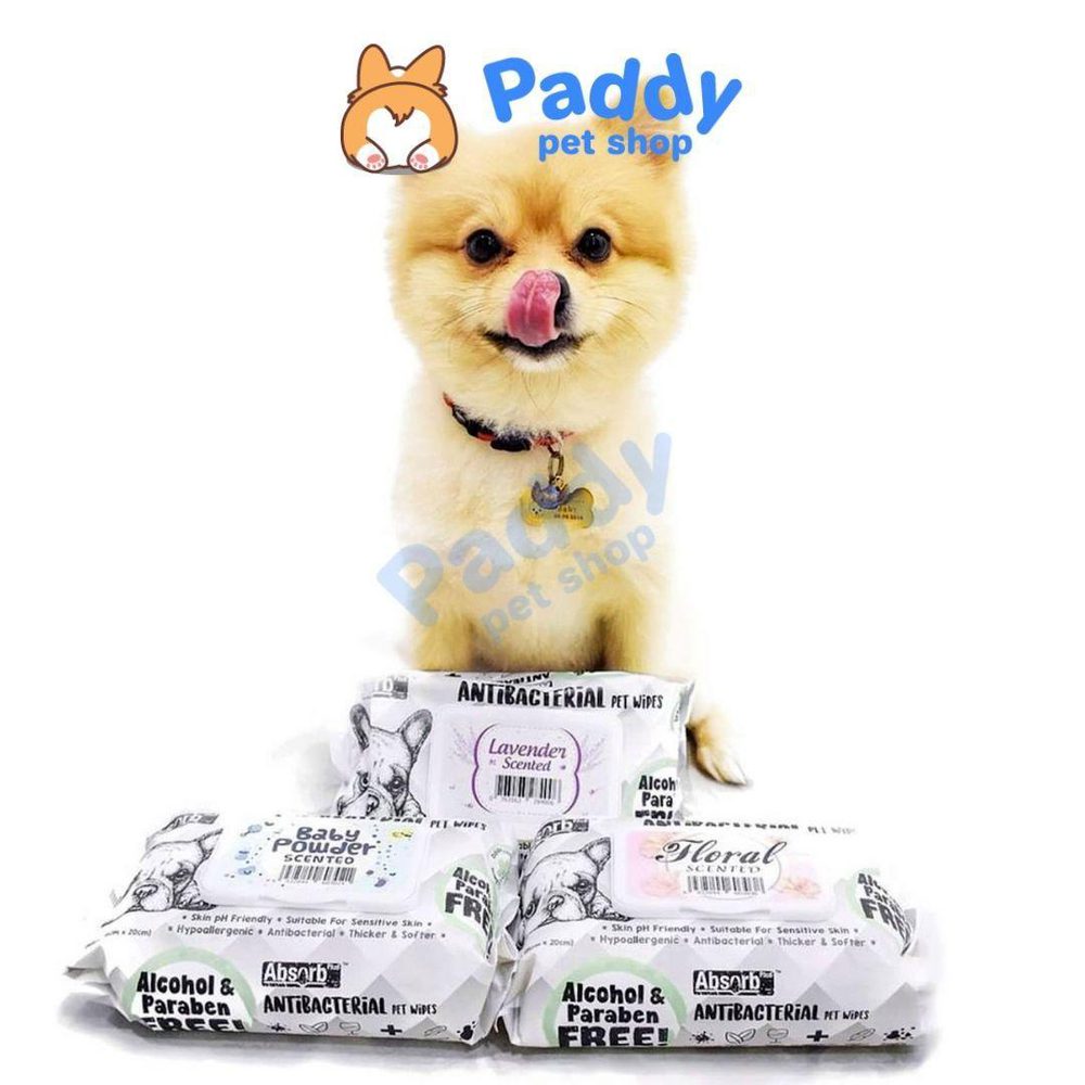 Khăn Giấy Ướt Kháng Khuẩn, Tắm Khô Cho Chó Absorb Plus (80 Miếng) - Paddy Pet Shop