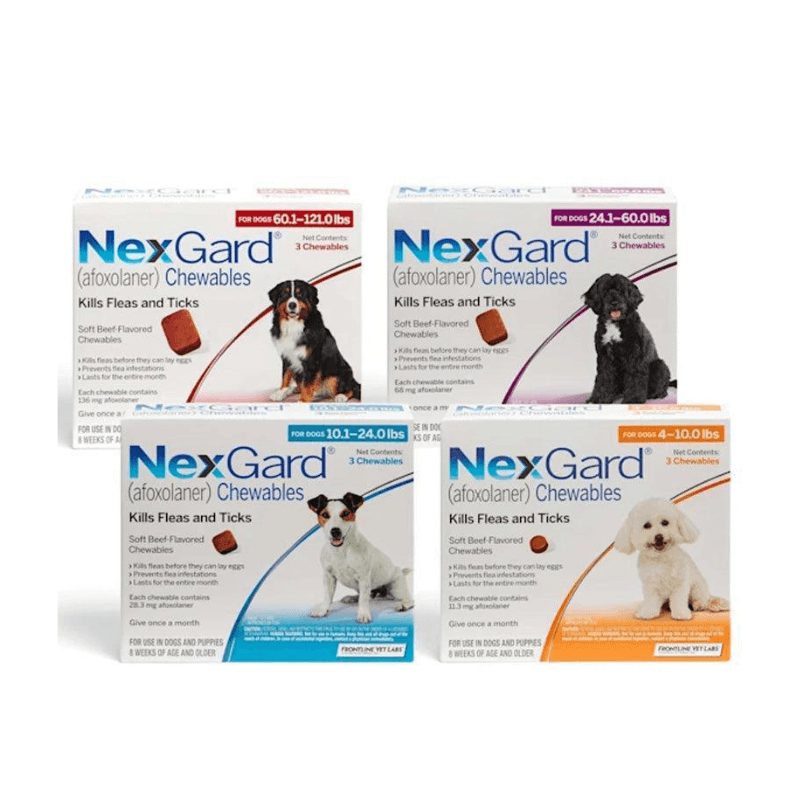 NexGard Trị Ve Rận Cho Chó An Toàn Hiệu Quả (Dạng Viên Nhai) - Paddy Pet Shop