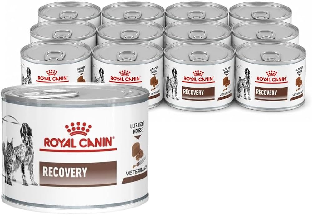 Pate Cho Chó Mèo Phục Hồi Sức Khỏe Royal Canin Recovery Lon 195g