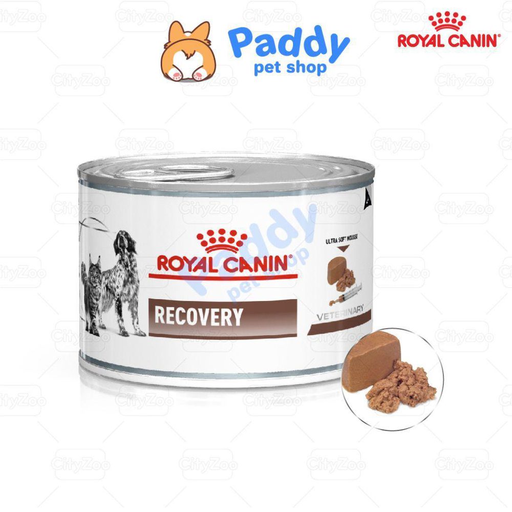 Pate Cho Chó Mèo Phục Hồi Sức Khỏe Royal Canin Recovery Lon 195g - Paddy Pet Shop