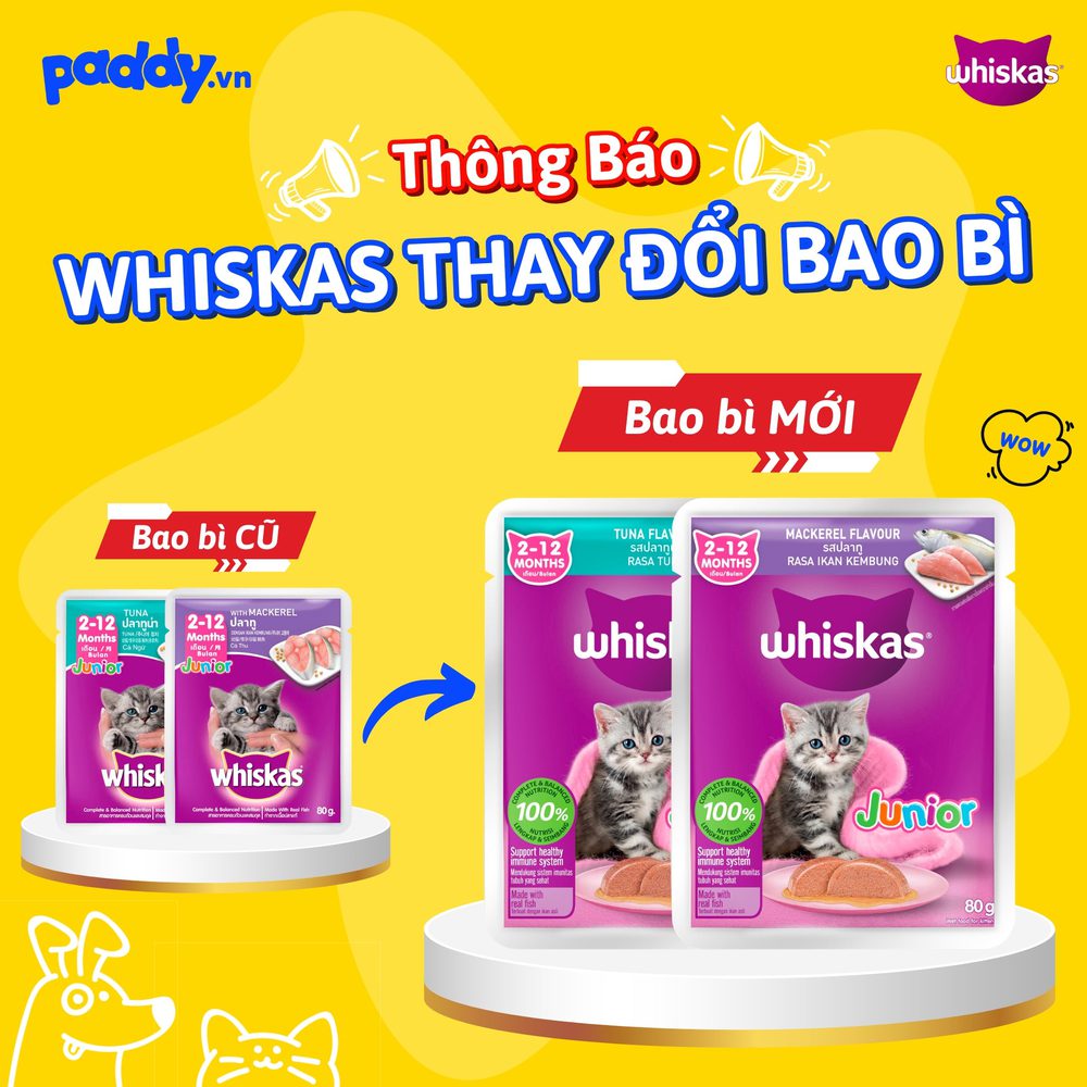 Pate Whiskas Junior Cho Mèo Con 80g