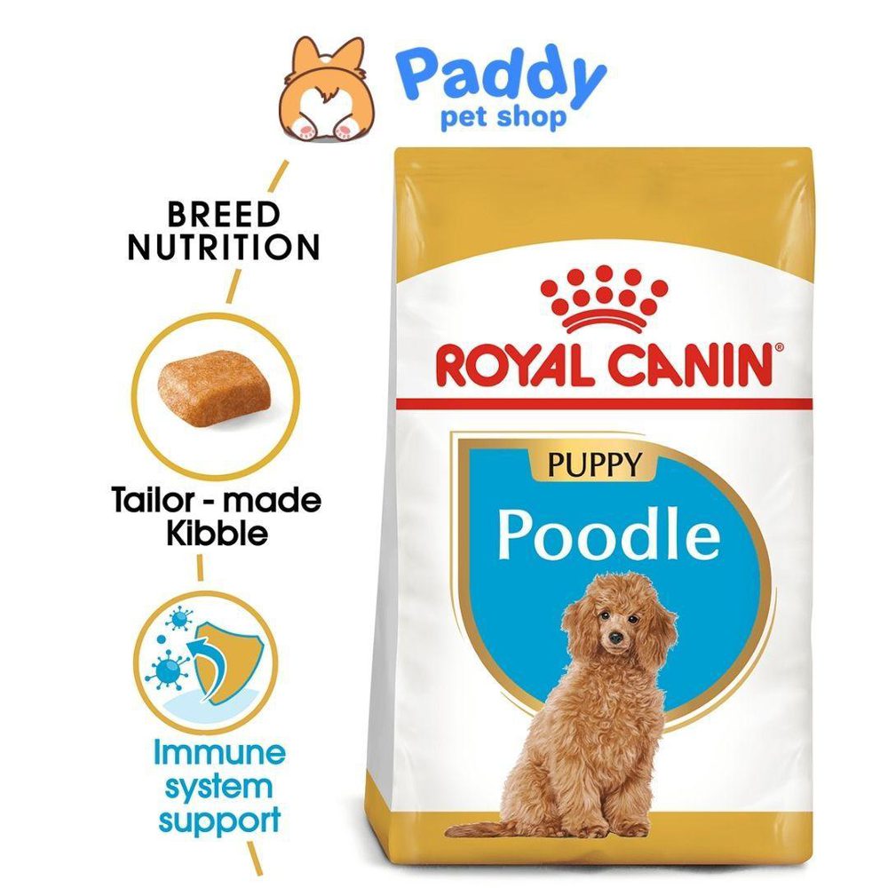 Thức Ăn Hạt Cho Chó Con Poodle Royal Canin Poodle Puppy - Paddy Pet Shop
