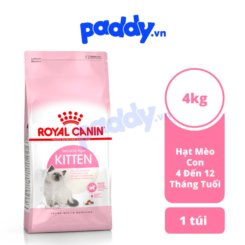 Thức Ăn Hạt Cho Mèo Con Royal Canin Kitten 36 - Paddy Pet Shop