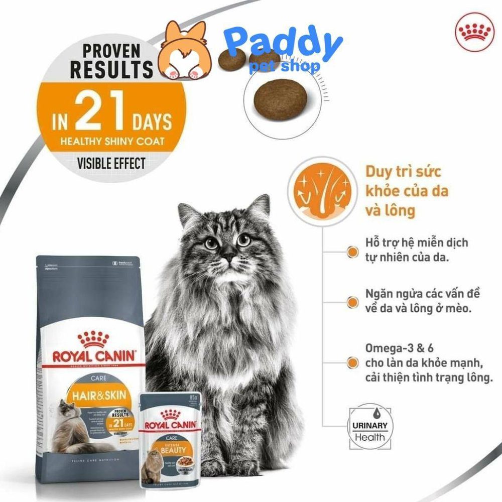 Thức Ăn Hạt Cho Mèo Trưởng Thành Dưỡng Lông & Da Royal Canin Hair & Skin Care - Paddy Pet Shop