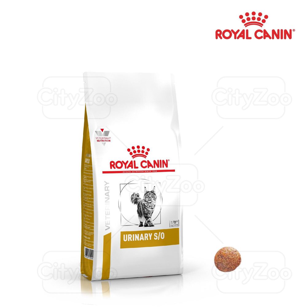 Thức Ăn Hạt Cho Mèo Sỏi Thận Royal Canin Urinary S/O - Paddy Pet Shop