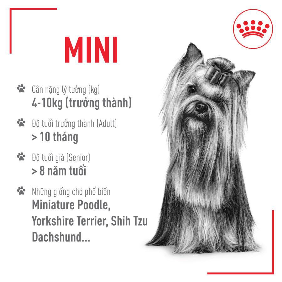 Thức Ăn Hạt Cho Chó Trưởng Thành Giống Nhỏ Royal Canin Mini Adult - Paddy Pet Shop