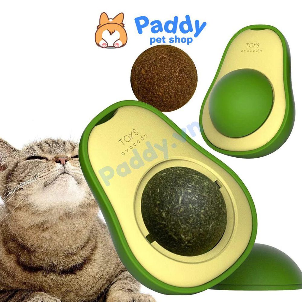 Cỏ Mèo Gắn Tường Xoay Hình Đồ Chơi Cho Mèo - Paddy Pet Shop