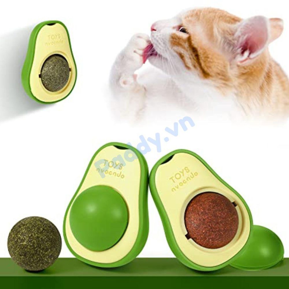 Cỏ Mèo Gắn Tường Xoay Hình Đồ Chơi Cho Mèo - Paddy Pet Shop