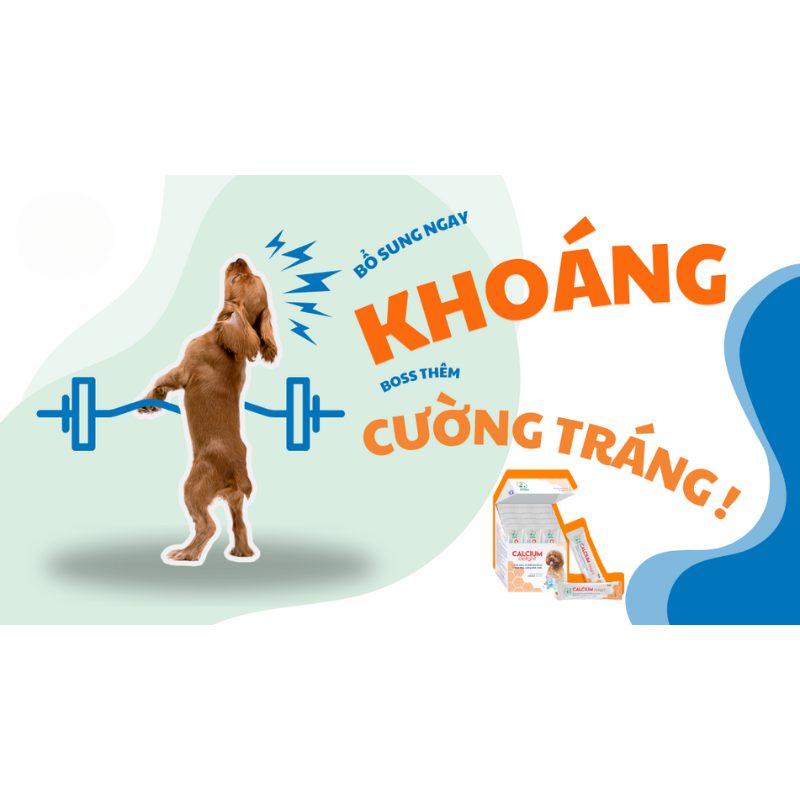 Gel Bổ Sung Canxi Cho Chó Bossen